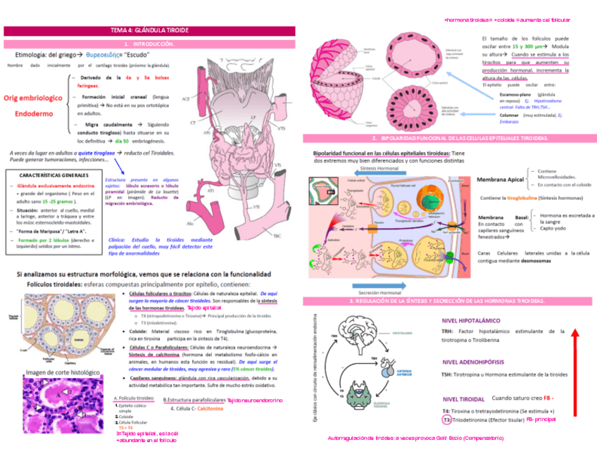 Miniatura del documento TEMA-4.pdf