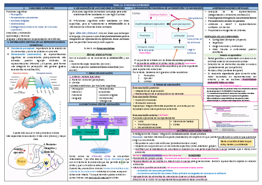 Miniatura del documento TEMA-13-Parte-2.pdf