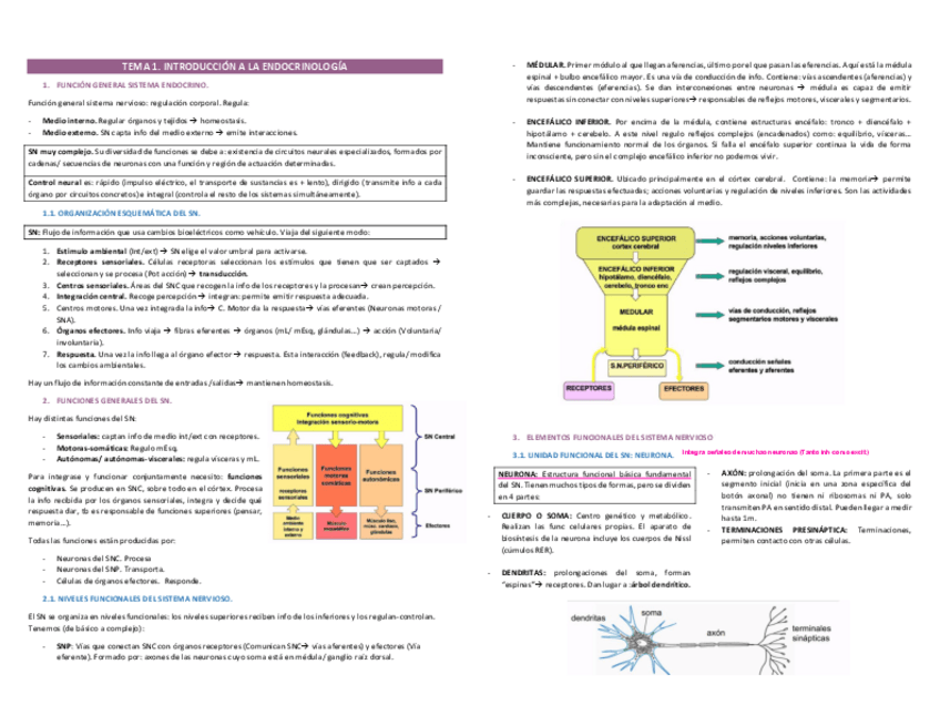 Miniatura del documento TEMA-1.pdf