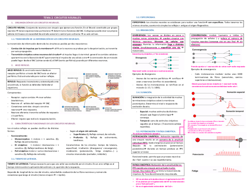 Miniatura del documento TEMA-2.pdf