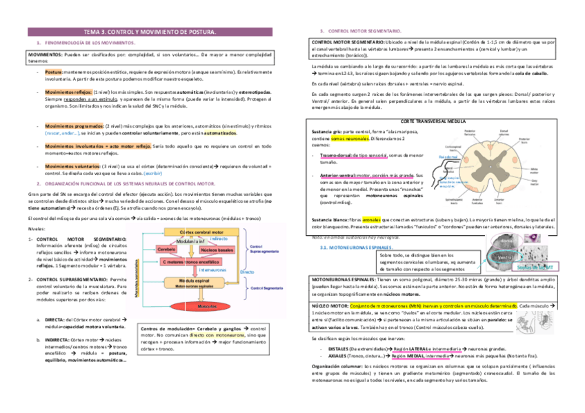 Miniatura del documento TEMA-3.pdf
