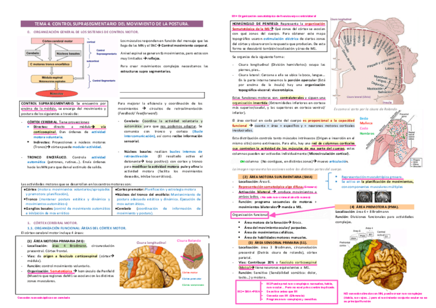 Miniatura del documento TEMA-4.pdf