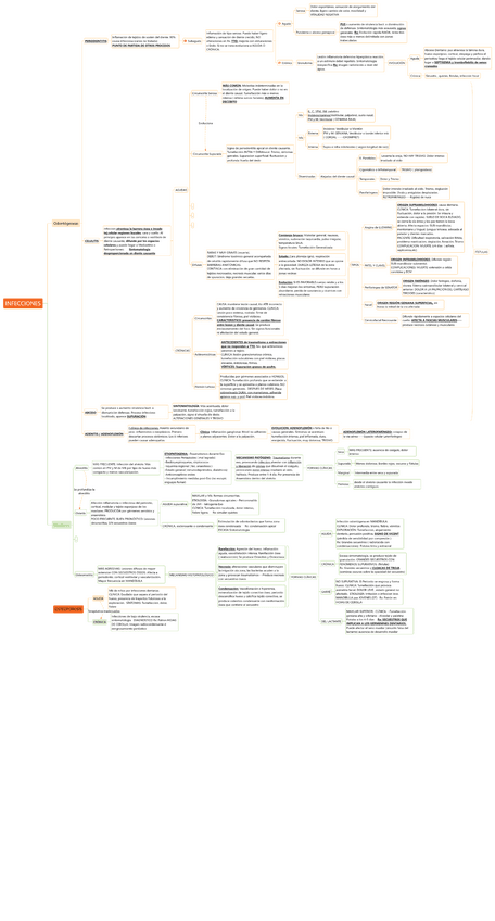 Miniatura del documento INFECCIONES.pdf