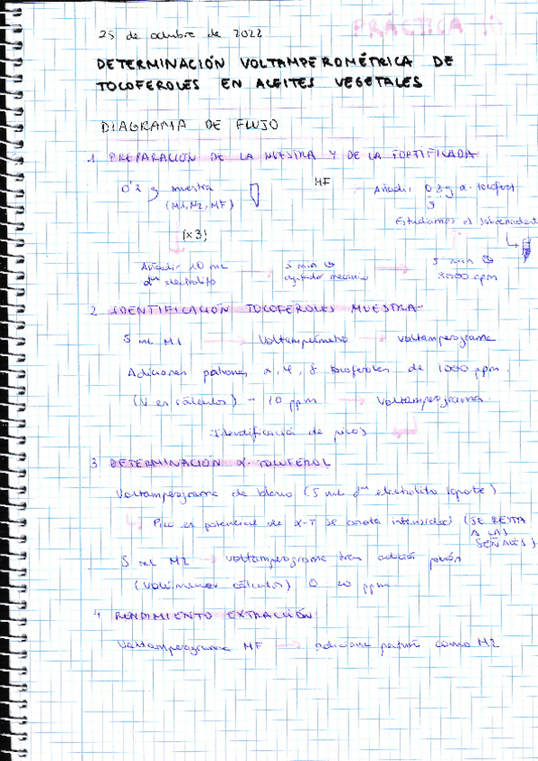 Miniatura del documento P10-analitica.pdf