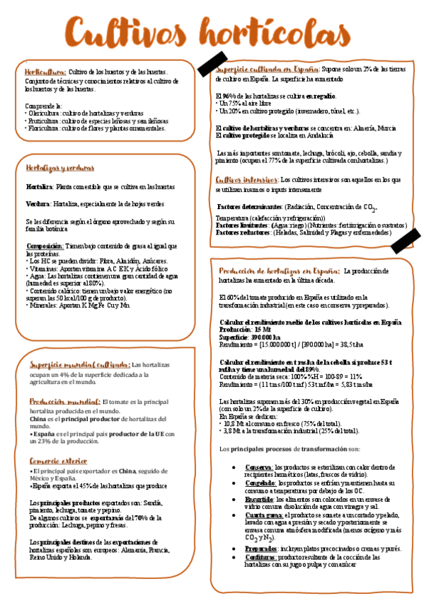 Miniatura del documento TEMA8-Cultivos-horticolas-RESUMEN.pdf