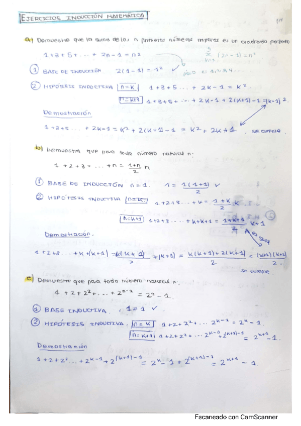Miniatura del documento EJERCICIOS-INDUCCION.pdf