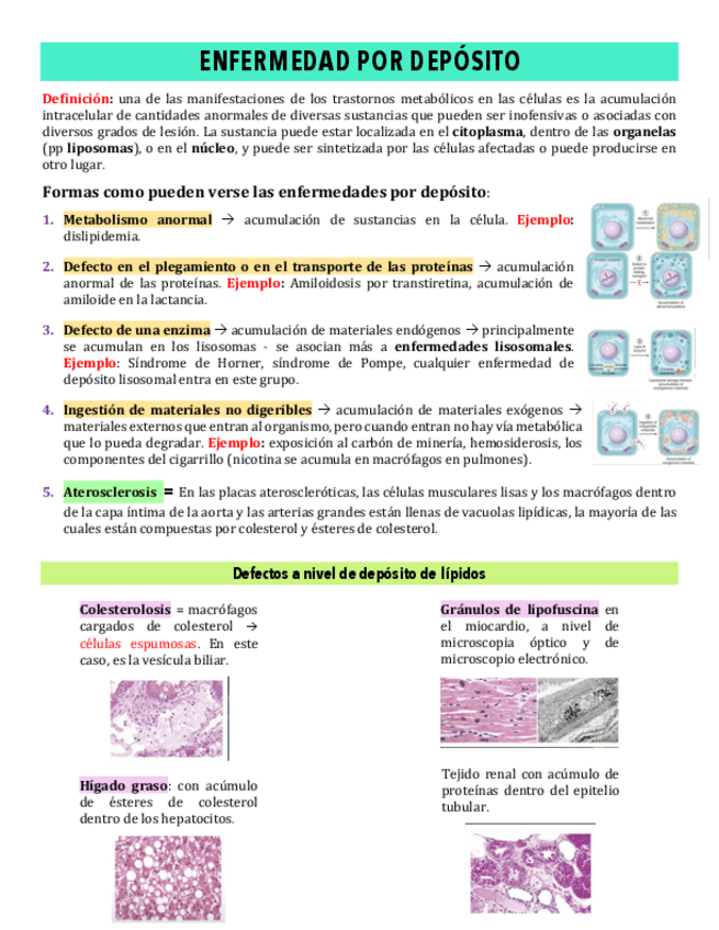 Miniatura del documento Copy-of-6-ENFERMEDAD-POR-DEPOSITO.pdf