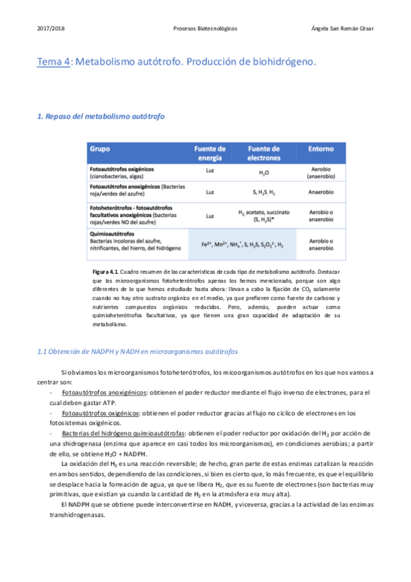 Miniatura del documento 4. Producción de biohidrógeno.pdf