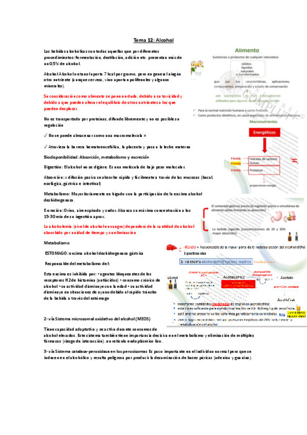 Miniatura del documento Tema-12.pdf