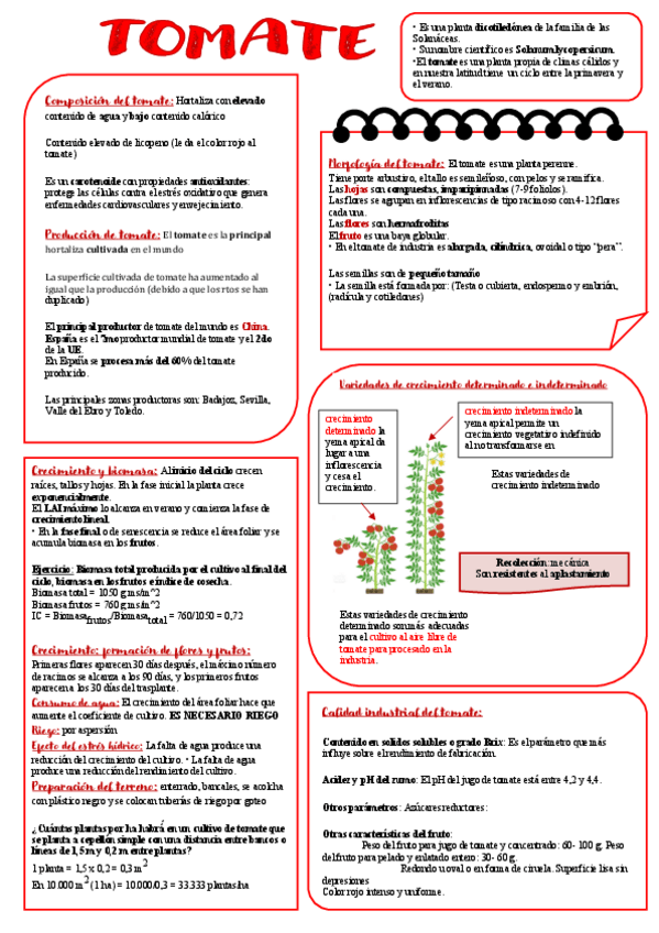 Miniatura del documento TEMA5-TOMATE-RESUMEN.pdf