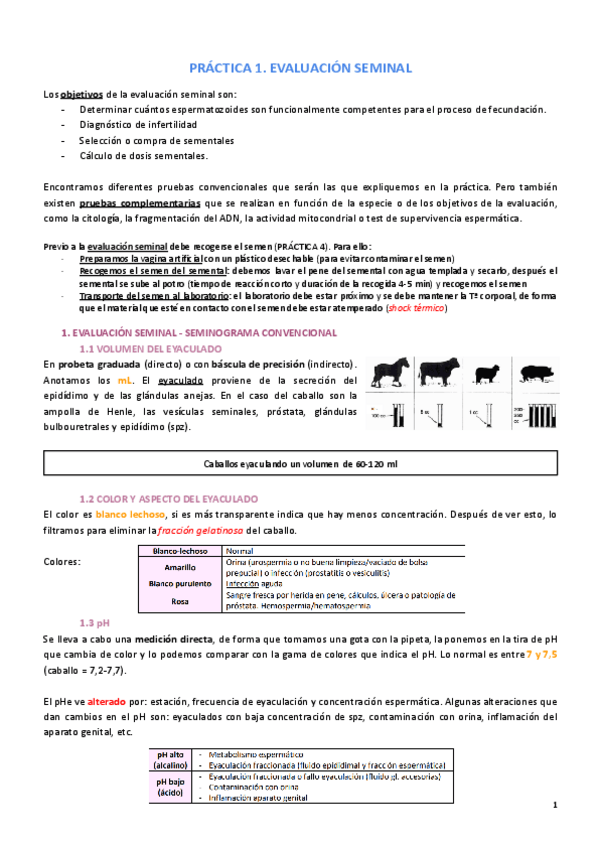 Miniatura del documento PRACTICAS-COMPLETO.pdf