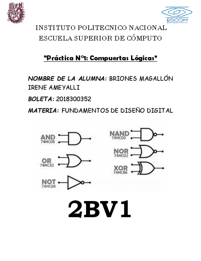 Miniatura del documento 2BV1Practica1BrionesMagallonIreneAmeyalli.pdf