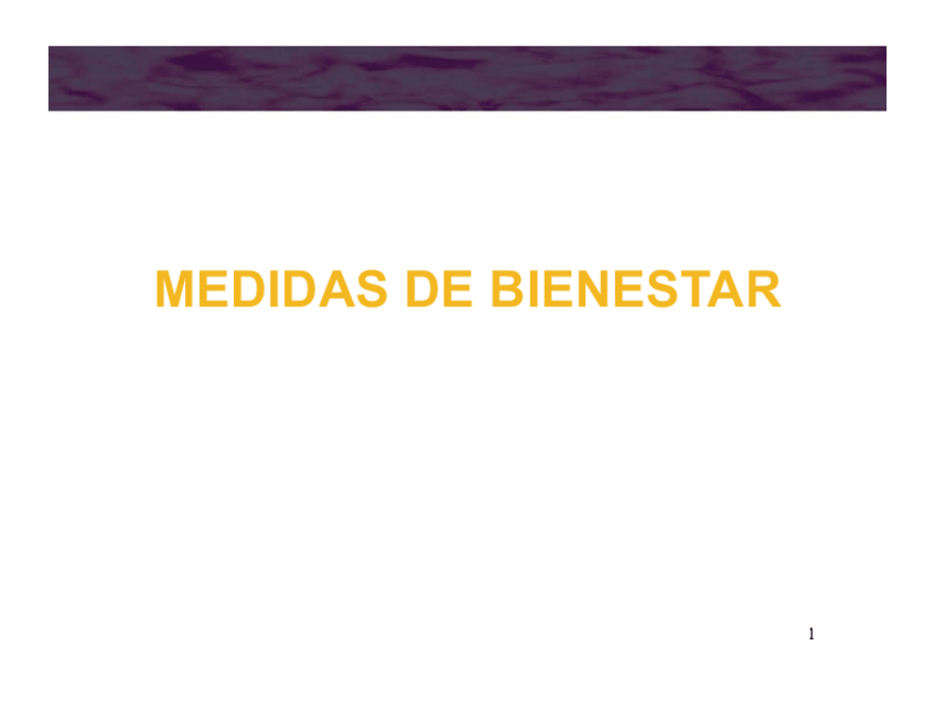 Miniatura del documento Medidas-de-Bienestar.pdf