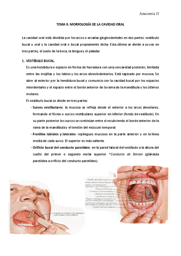 Miniatura del documento TEMA-9.pdf
