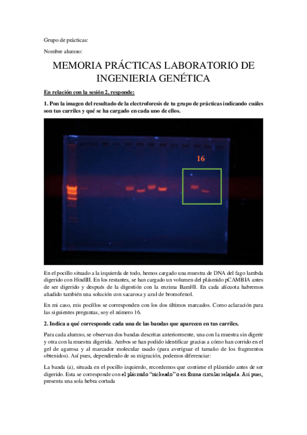 Miniatura del documento informe-practicas-subir.pdf