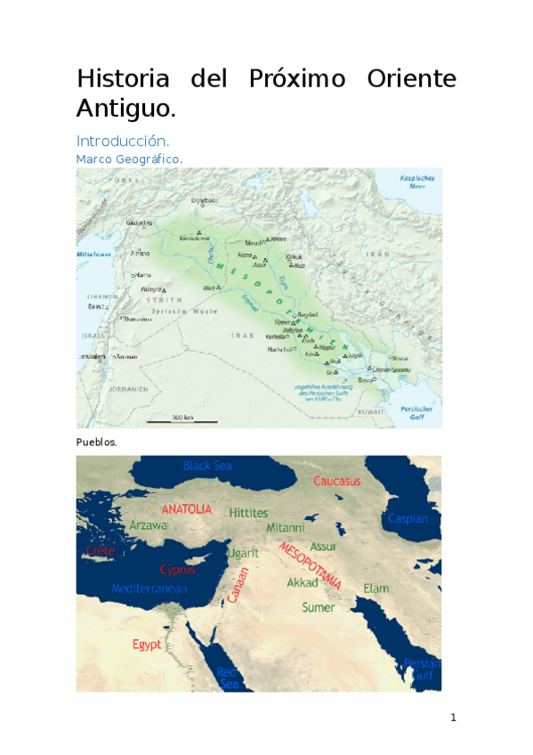 Miniatura del documento Próximo Oriente 1º Cuatrimestre.docx