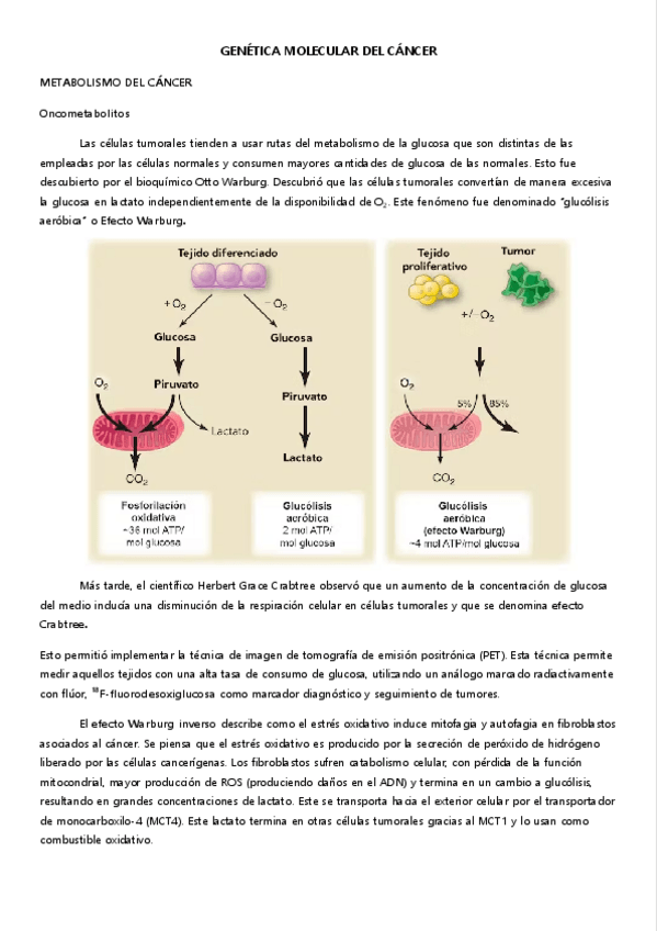 Miniatura del documento 6.-ONCOMETABOLITOS.pdf