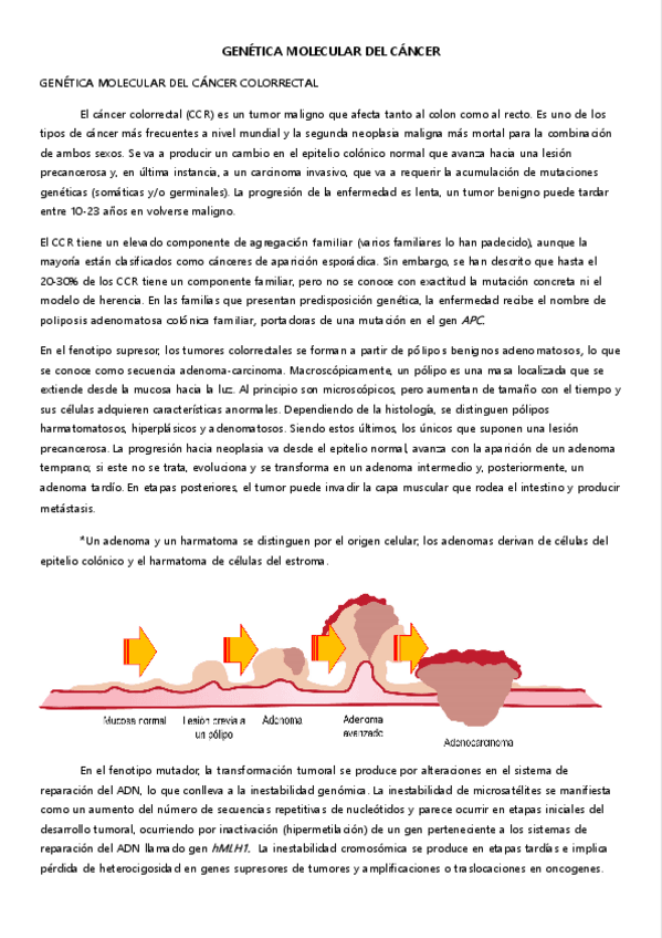Miniatura del documento 9.-GENETICA-MOLECULAR-DEL-CANCER.pdf