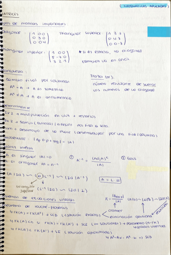 Miniatura del documento resumen-matrices.pdf
