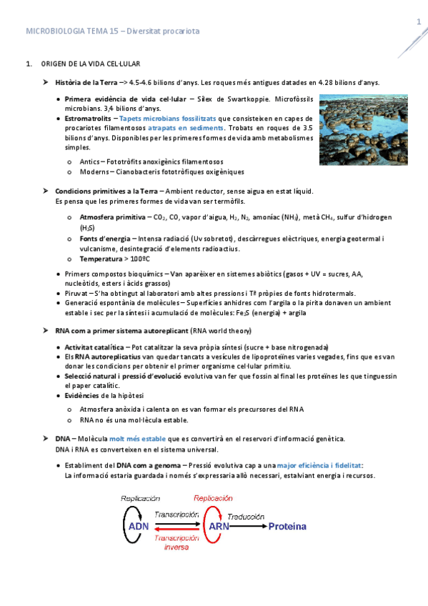 Miniatura del documento T15DiversitatProcariora.pdf