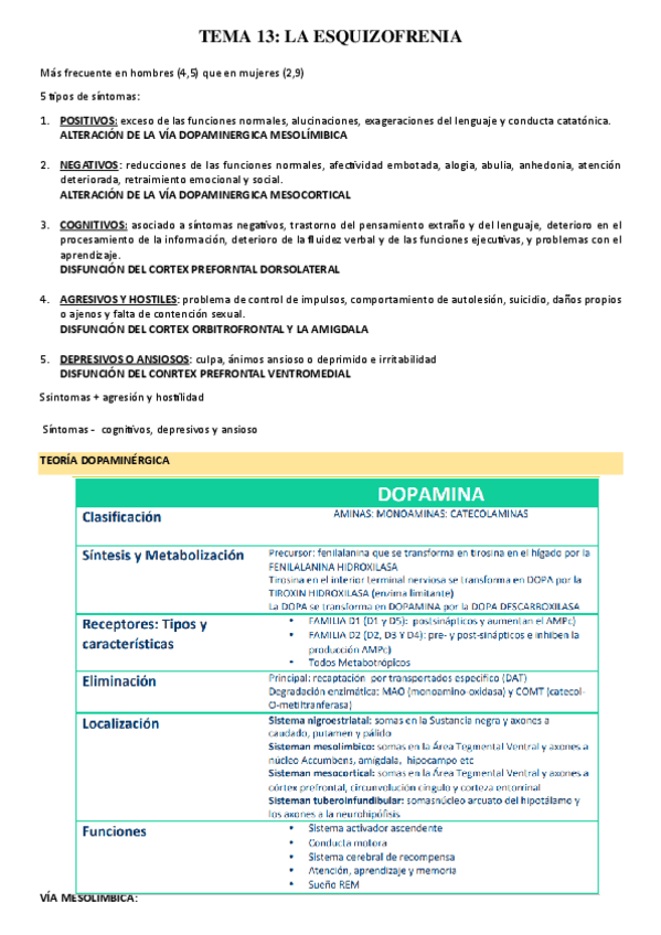 Miniatura del documento T.13-esquizofrenia-y-antipsicoticos.pdf