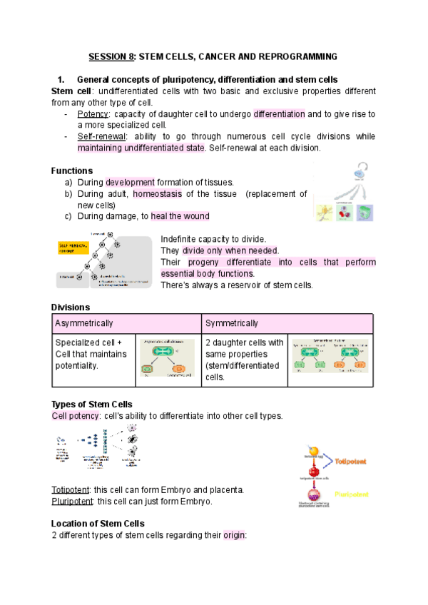 Miniatura del documento SESSION-8-stem-cells-cancer-and-reprogramming.pdf