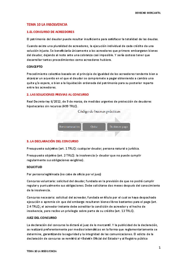 Miniatura del documento TEMA-10-LA-INSOLVENCIA.pdf