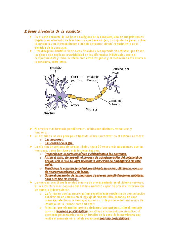 Miniatura del documento 2basesbiologicasconducta.pdf