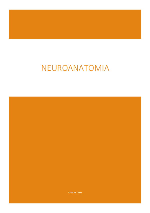 Miniatura del documento Neuroanatomia.pdf