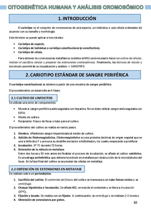 Miniatura del documento Citogenetica-humana.-tema-12.pdf