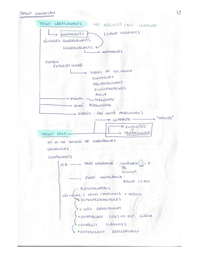 Miniatura del documento ApuntsBiomaterialsII.22022.pdf