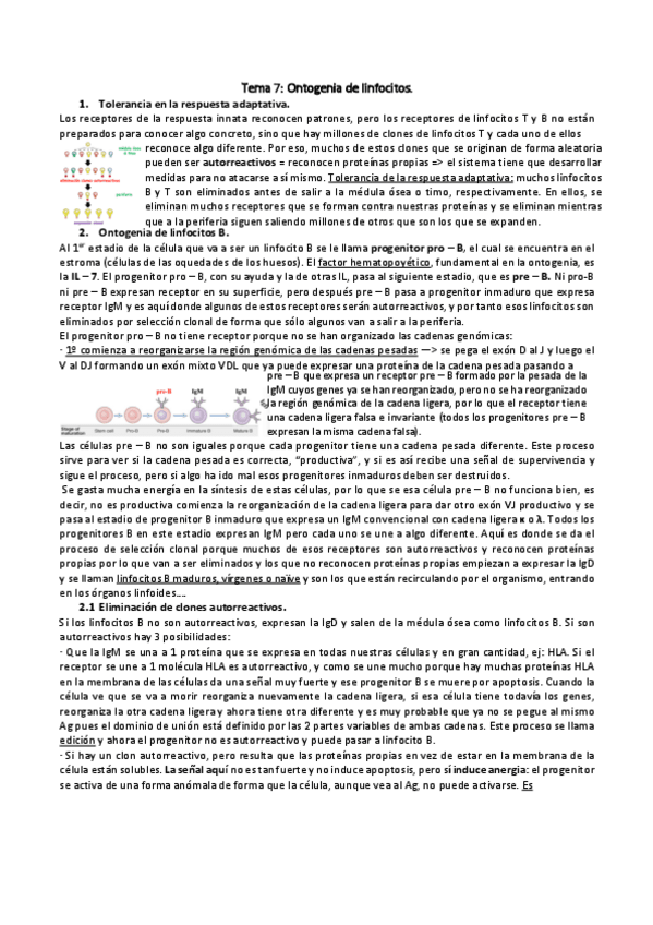 Miniatura del documento InmunoTema7.pdf
