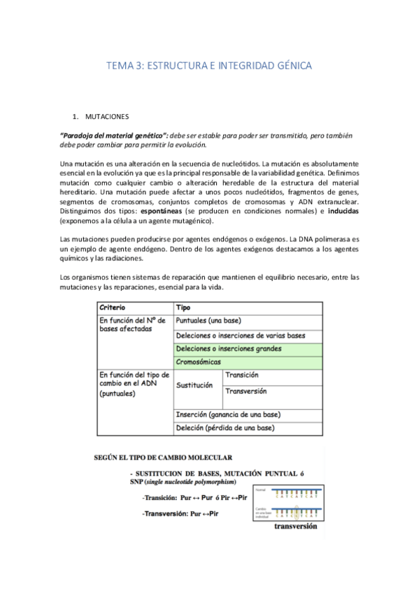 Miniatura del documento TEMA 3.pdf
