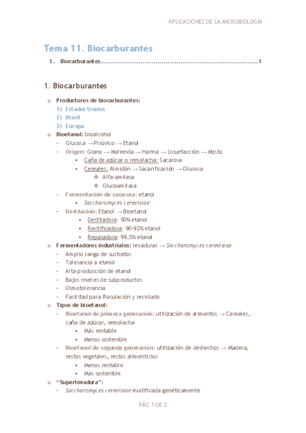 Miniatura del documento Tema-11.-Biocarburantes.pdf