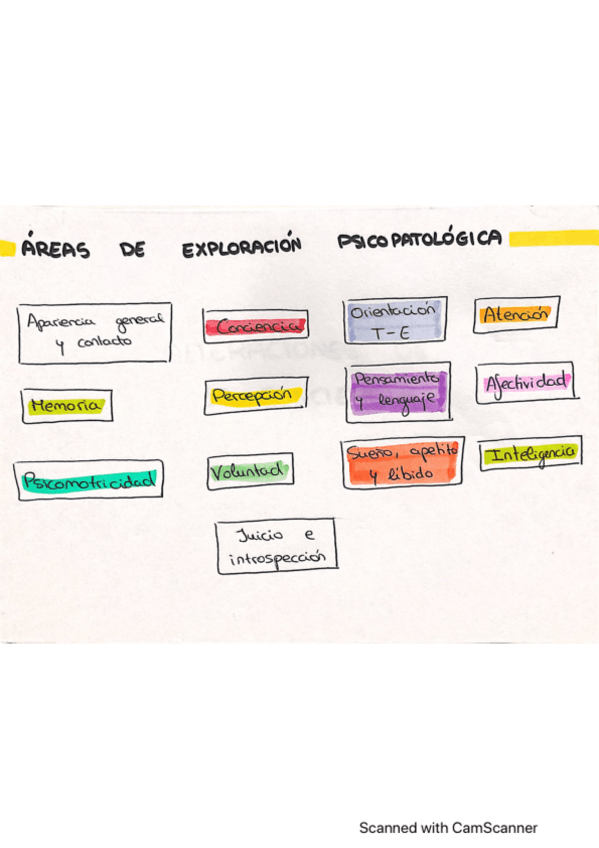Miniatura del documento esquemas-psicologia.pdf
