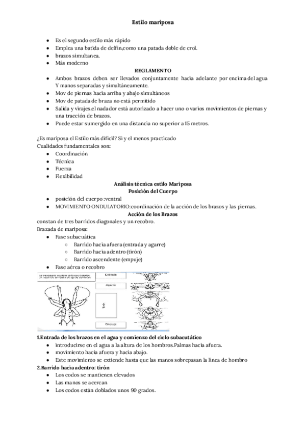Miniatura del documento Estilo-mariposa.pdf