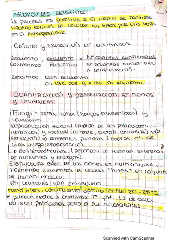 Miniatura del documento determinacion-recuento-mohos-y-levaduras.pdf