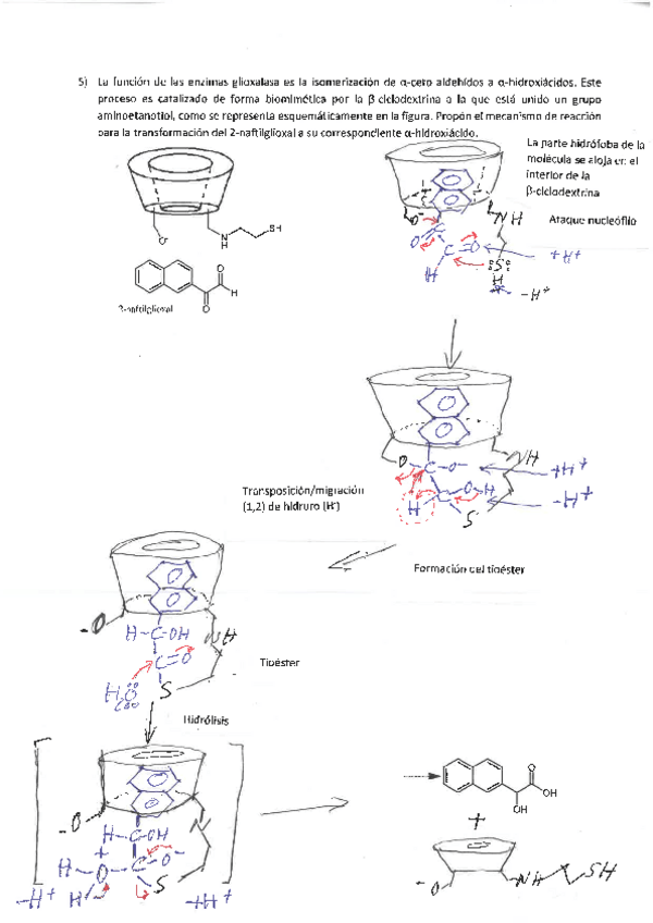 Miniatura del documento Ejercicio-5-resuelto-examen-2022.pdf