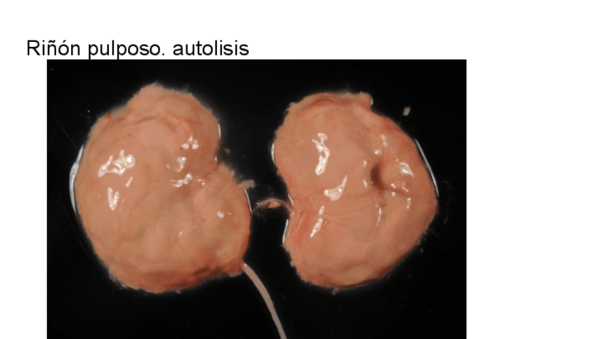 Miniatura del documento APG-macro-1o-parcial-test.pdf