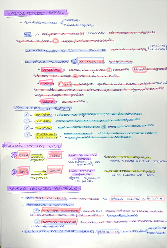 Miniatura del documento Sistemas-nerviosos.pdf