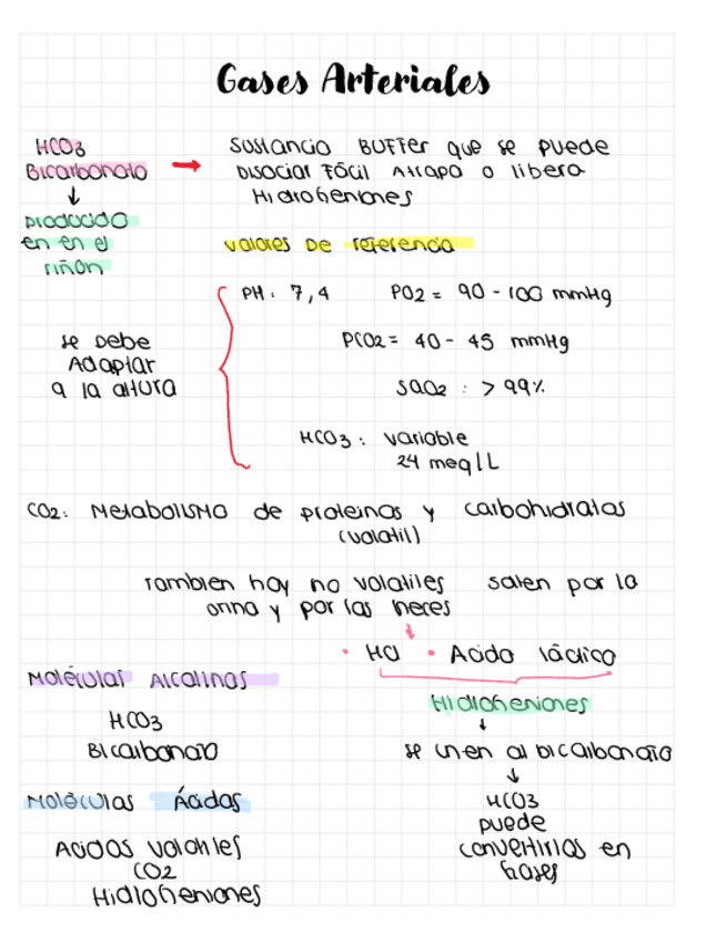 Miniatura del documento Equilibrio-Acido-Base.pdf