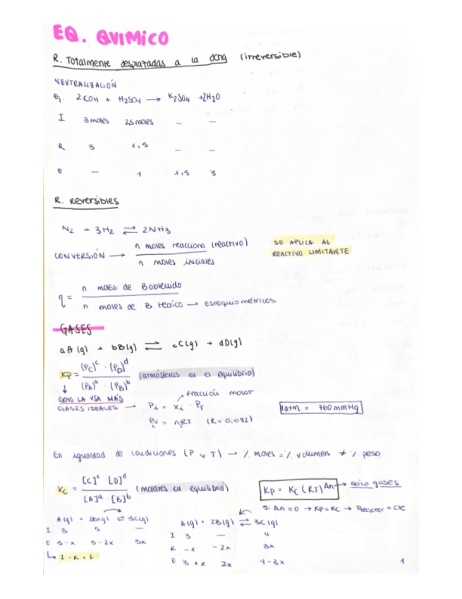 Miniatura del documento Eq-quimico-Intensivo-Newton.pdf