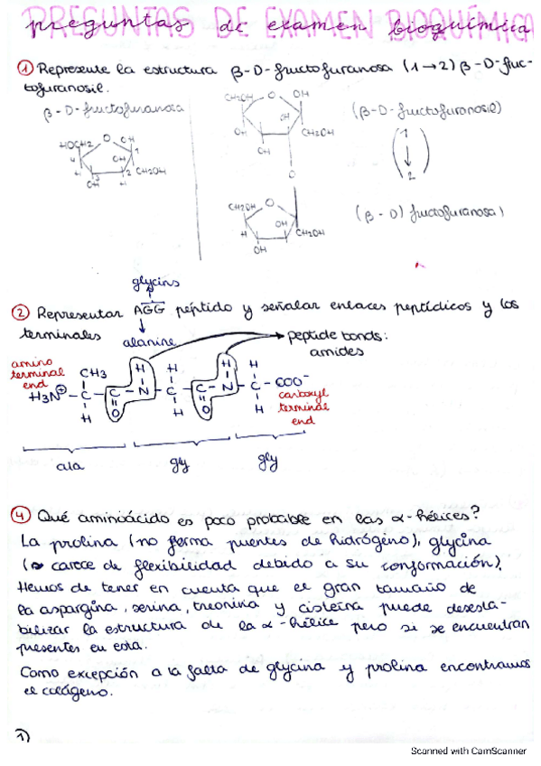 Miniatura del documento Preguntas-de-examen-resueltas-bioquimica.pdf