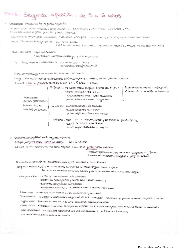 Miniatura del documento Psicologia-evolutiva-T6.pdf