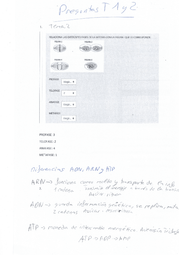 Miniatura del documento Preguntas-tema-1-y-2-autoevaluacion-naturales.pdf