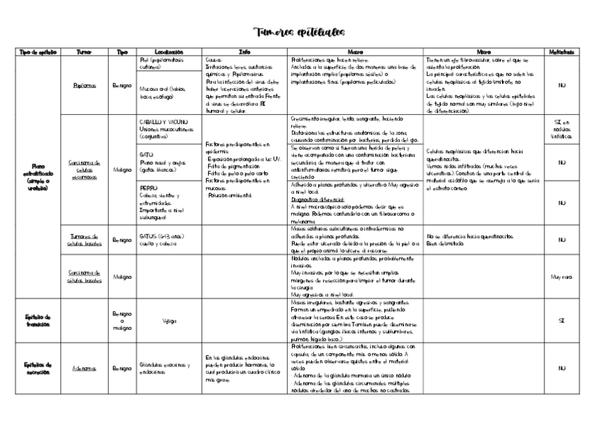 Miniatura del documento resumen-tumores-todos.pdf