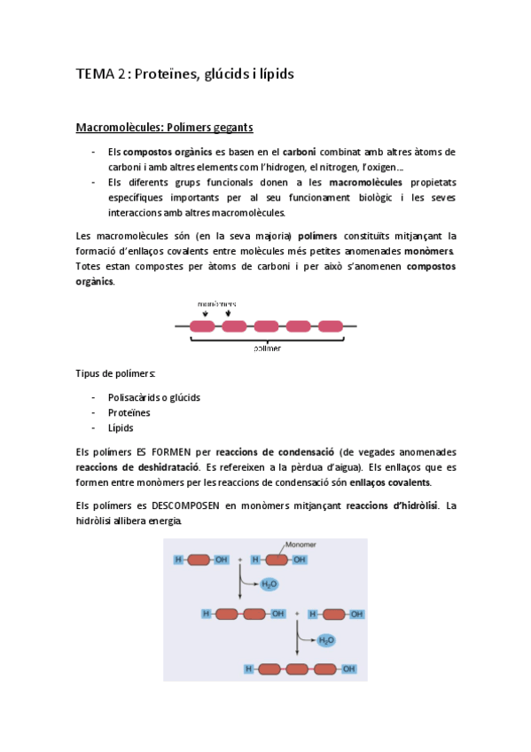 Miniatura del documento TEMA-2.pdf