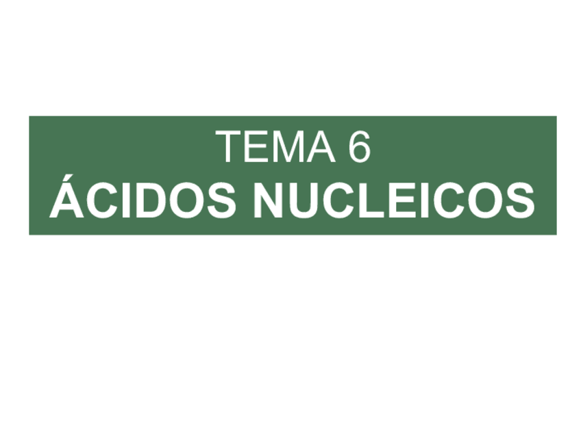 Miniatura del documento T6-Acidos-nucleicos.pdf
