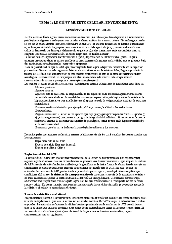 Miniatura del documento Laso.pdf