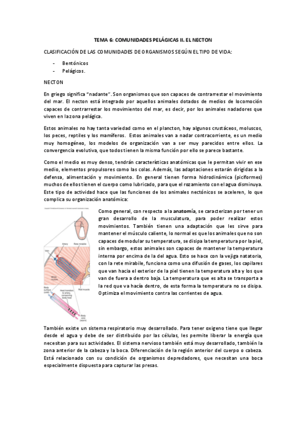 Miniatura del documento TEMA 6.pdf